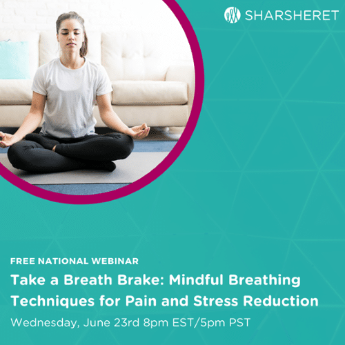 Take a Breath Brake: Mindful Breathing Techniques for Pain and Stress ...