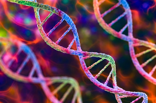 Cancer Genetics